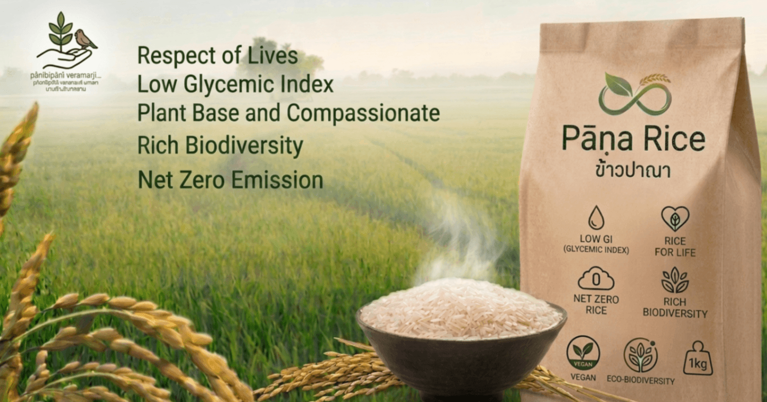 Pāṇa Rice — paper bag of rice with rice fields, a bowl of cooked rice, and golden grain